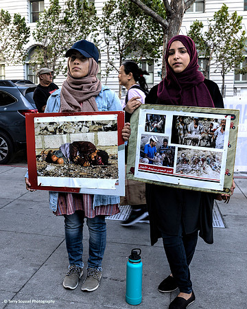 Yemeni Alliance Rally 13 - (Terry Scussel)