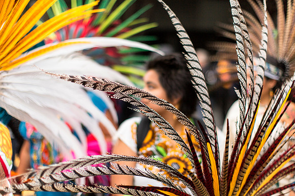 Carnaval SF 36