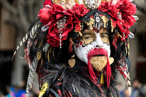 Carnaval SF 7