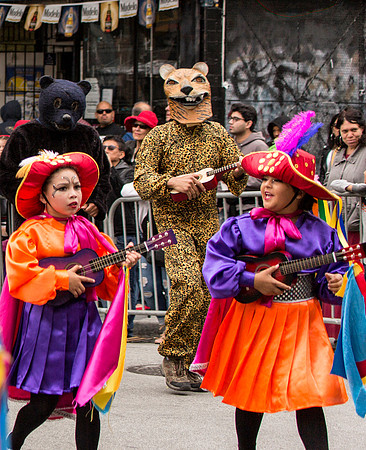 Carnaval SF 33