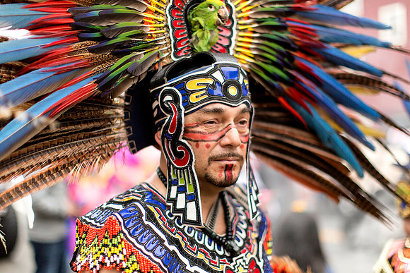 Carnaval SF 41