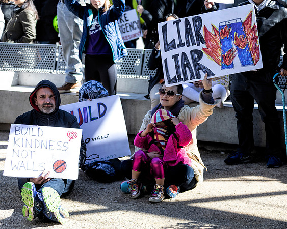 Fake National Emergency Protest 12 (Terry Scussel)