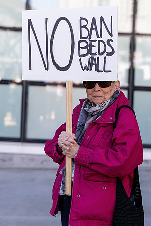 Fake National Emergency Protest 19 (Terry Scussel)