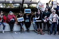 Fake National Emergency Protest 10 (Terry Scussel)