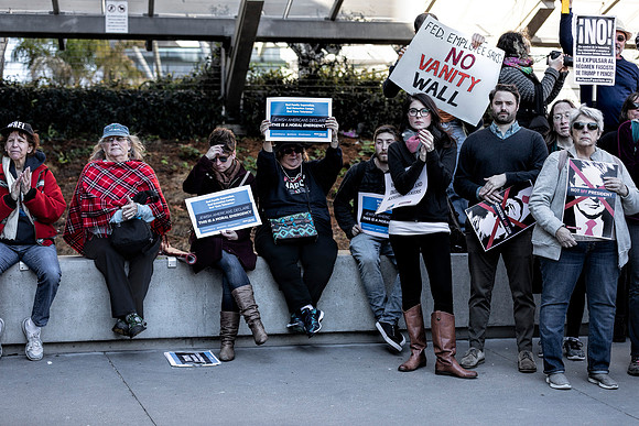 Fake National Emergency Protest 10 (Terry Scussel)