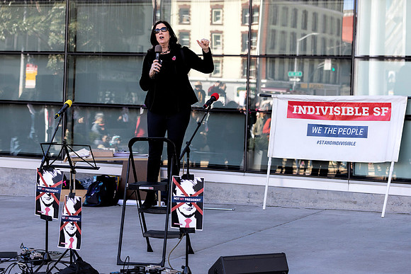 Fake National Emergency Protest 8 (Terry Scussel)