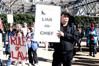 Fake National Emergency Protest 4 (Terry Scussel)