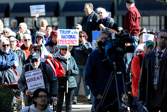 Fake National Emergency Protest 14 (Terry Scussel)