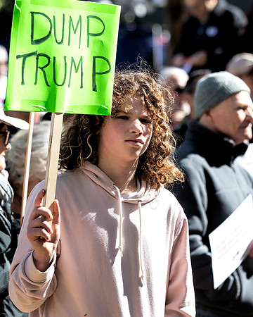 Fake National Emergency Protest 9 (Terry Scussel)