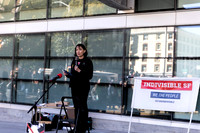 Fake National Emergency Protest 17 (Terry Scussel)