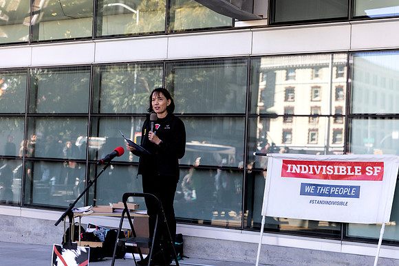 Fake National Emergency Protest 17 (Terry Scussel)