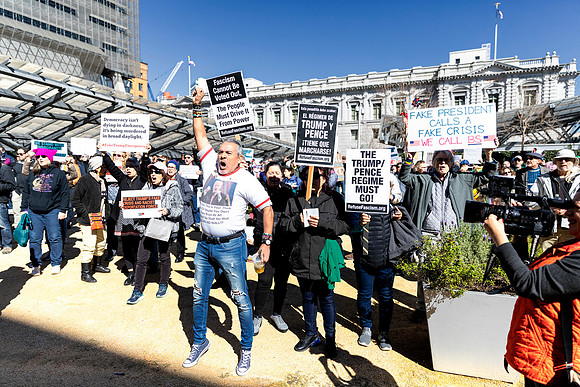 Fake National Emergency Protest 5 (Terry Scussel)