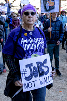 Fake National Emergency Protest 16 (Terry Scussel)