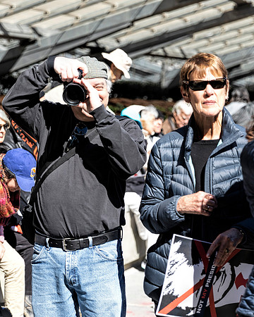 Fake National Emergency Protest 6 (Terry Scussel)