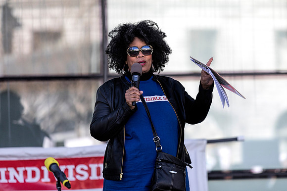 Fake National Emergency Protest 13 (Terry Scussel)