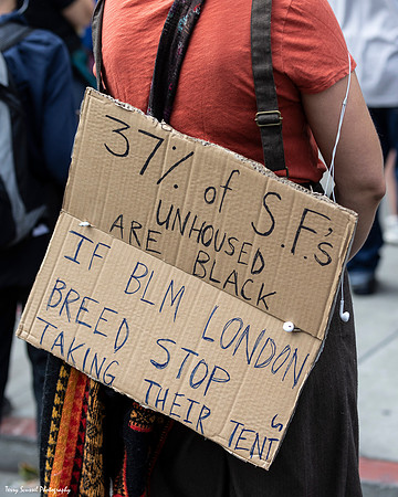 Abolish the Police SF 21 (Terry Scussel)
