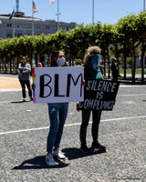 BLM Juneteenth 6 (Terry Scussel)