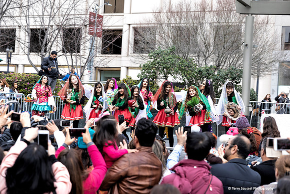 Norooz Spring Festival 16 (Terry Scussel)