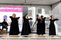 Norooz Spring Festival 8 (Terry Scussel)