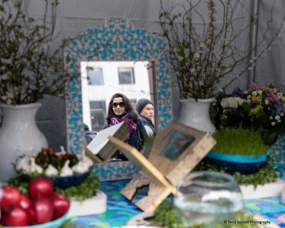 Norooz Spring Festival 20 (Terry Scussel)