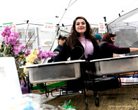 Norooz Spring Festival 2 (Terry Scussel)