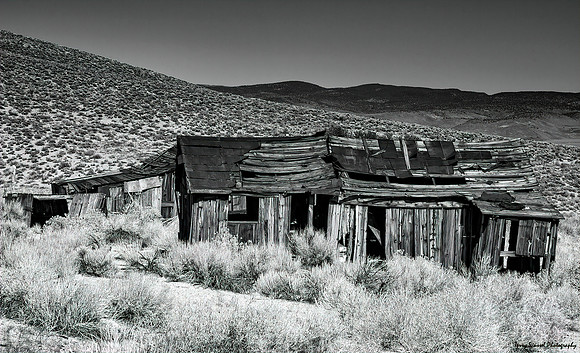 Benton Hot Springs Cabin B&W