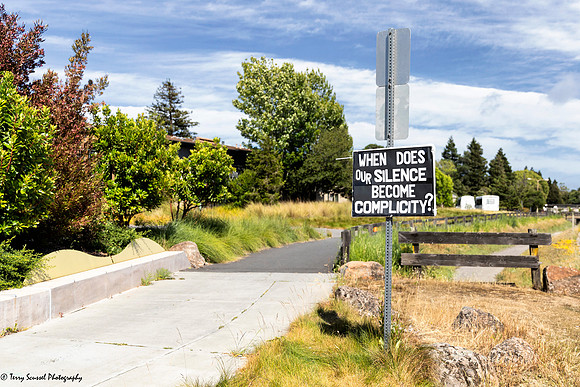 BLM Mill Valley 2 (Terry Scussel)