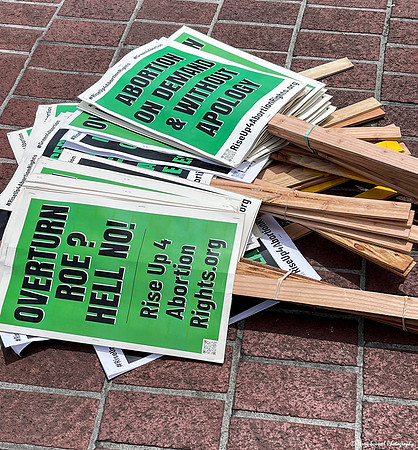 Abortion Rights SF 26May 2 (Terry Scussel) copy