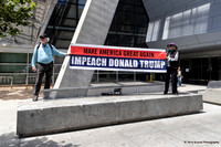 Impeach Trump 9 (Terry Scussel)