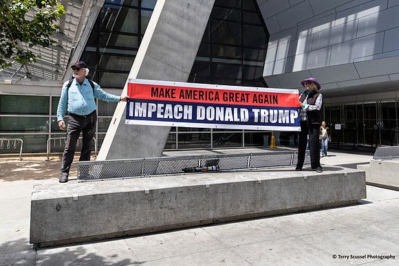 Impeach Trump 9 (Terry Scussel)