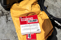 Impeach Trump 1 (Terry Scussel)