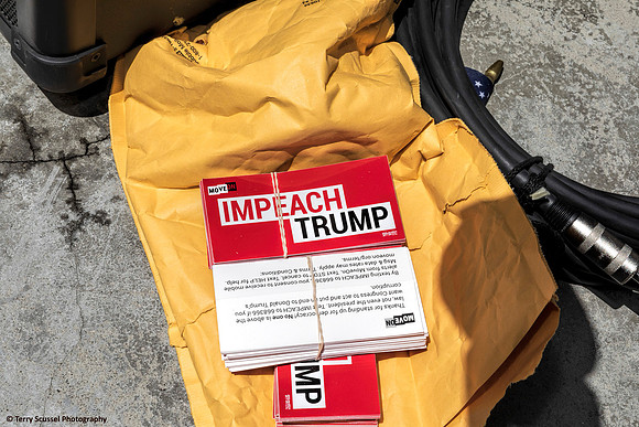 Impeach Trump 1 (Terry Scussel)