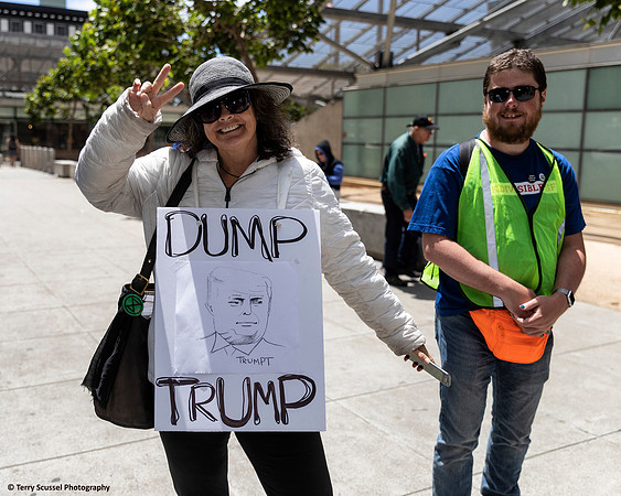 Impeach Trump 10 (Terry Scussel)