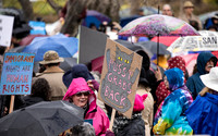 T. Scussel - Protesters  - at City Hall 1
