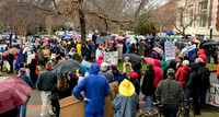 T. Scussel - Marin is Marching  - at San Rafael City Hall