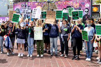 Abortion Rights SF 26May 20 (Terry Scussel) copy