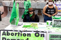 Abortion Rights SF 26May 9 (Terry Scussel) copy