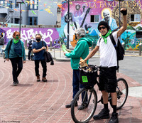 Abortion Rights SF 26May 8 (Terry Scussel) copy