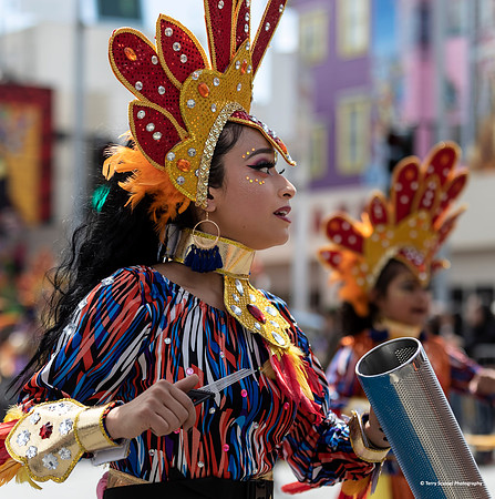 Carnaval SF 2019 79 (Terry Scussel)