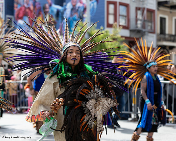 Carnaval SF 2019 20 (Terry Scussel)