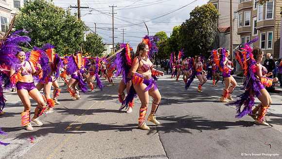 Carnaval SF 2019 76 (Terry Scussel)