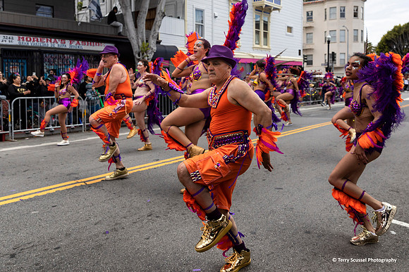Carnaval SF 2019 72 (Terry Scussel)