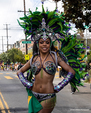 Carnaval SF 2019 3 (Terry Scussel)