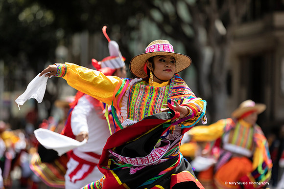 Carnaval SF 2019 14 (Terry Scussel)