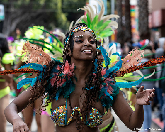 Carnaval SF 2019 45 (Terry Scussel)