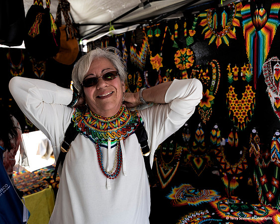 Carnaval Festival 43 (Terry Scussel)