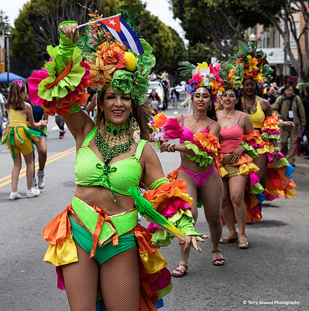 Carnaval SF 2019 48 (Terry Scussel)