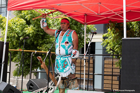 Carnaval Festival 45 (Terry Scussel)