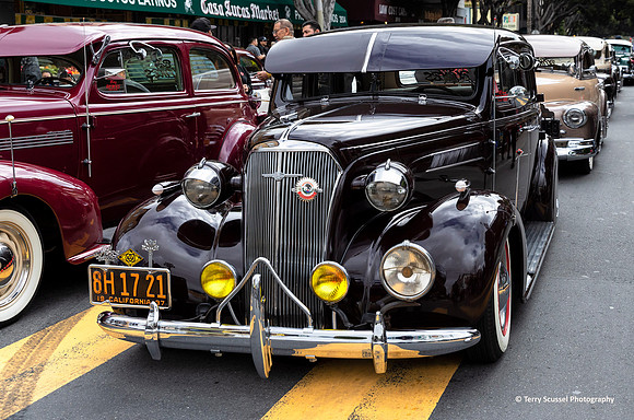 Carnaval SF 2019 54 (Terry Scussel)