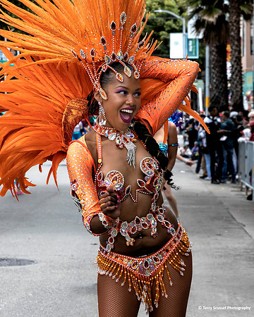 Carnaval SF 2019 82 (Terry Scussel)